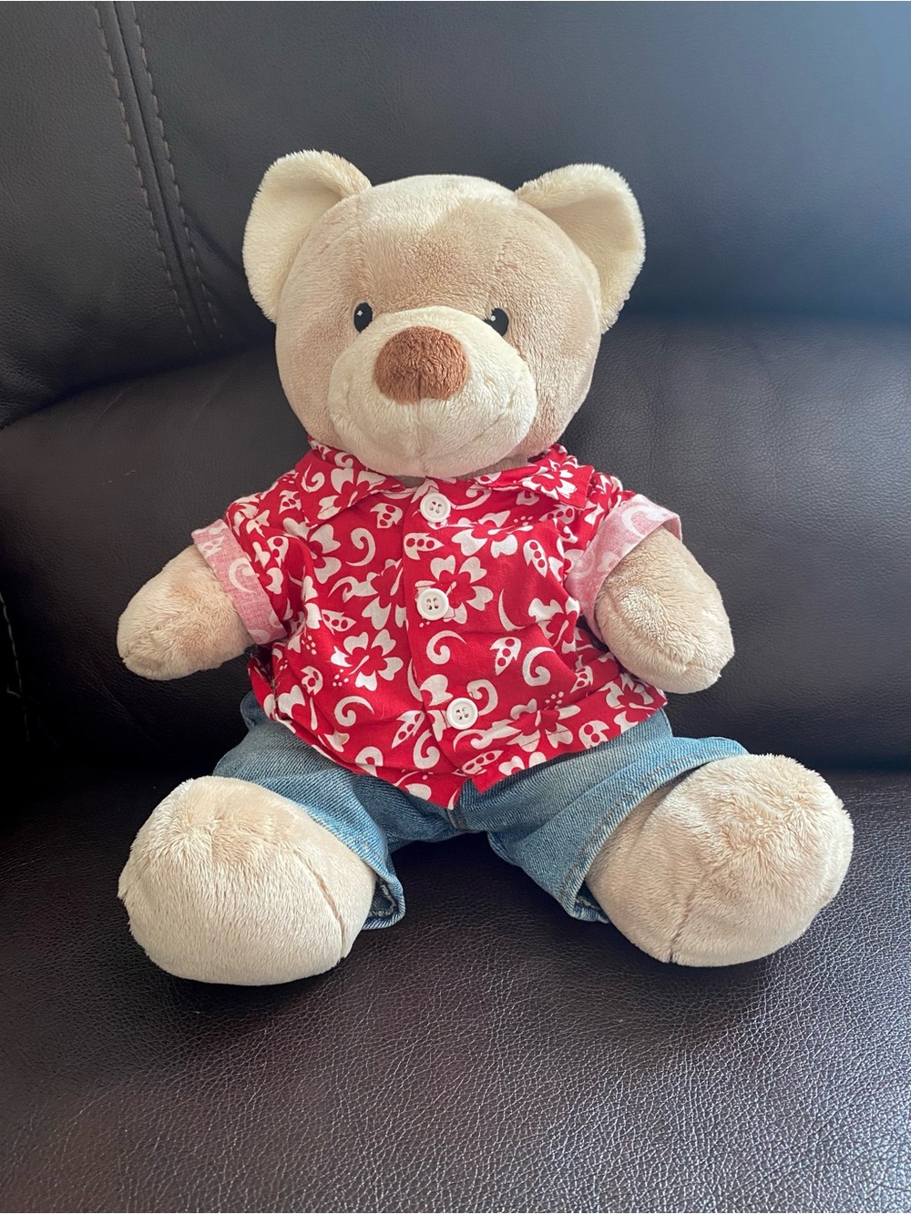 Build-A-Bear Workshop BAB Teddy Bear Plush Stuffed Animal & Outfit Shirt/Shorts